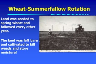 Wheat-Summerfallow Rotation
Land was seeded to
spring wheat and
fallowed every other
year.
The land was left bare
and cultivated to kill
weeds and store
moisture!
 