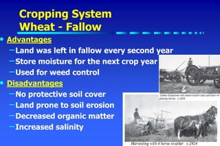 Cropping System
Wheat - Fallow
• Advantages
–Land was left in fallow every second year
–Store moisture for the next crop year
–Used for weed control
• Disadvantages
–No protective soil cover
–Land prone to soil erosion
–Decreased organic matter
–Increased salinity
 