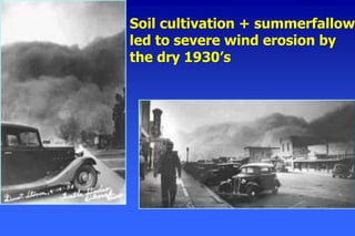 Soil cultivation + summerfallow
led to severe wind erosion by
the dry 1930’s
 