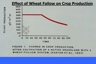 Effect of Wheat Fallow on Crop Production
 