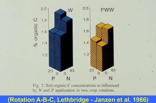 (Rotation A-B-C, Lethbridge - Janzen et al. 1986)
 