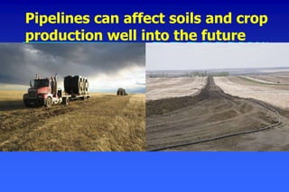 Pipelines can affect soils and crop
production well into the future
 