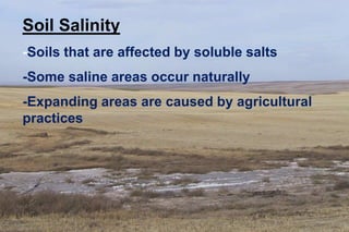 Soil Salinity
-Soils that are affected by soluble salts
-Some saline areas occur naturally
-Expanding areas are caused by agricultural
practices
 