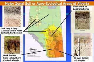 Dark Gray & Gray
Luvisolic Soils in North
Central & Northern AB
Brown Soils in
SE Alberta
Black Soils in
Central Alberta
Dark Brown
Soils in Southern
Central Alberta
Major Zonal Soil or Agro-Ecological Areas of Alberta
 