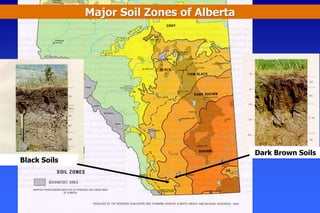 Black Soils
Dark Brown Soils
Major Soil Zones of Alberta
 