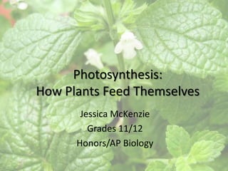 Photosynthesis:
How Plants Feed Themselves
       Jessica McKenzie
         Grades 11/12
      Honors/AP Biology
 