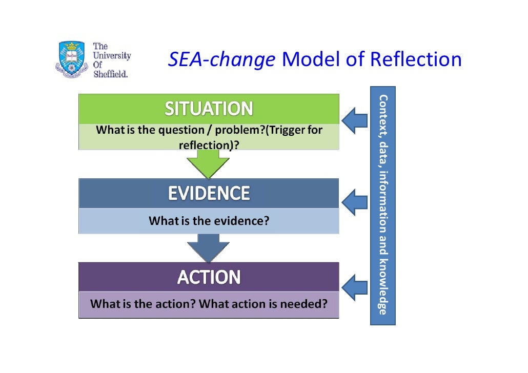 values reflection paper