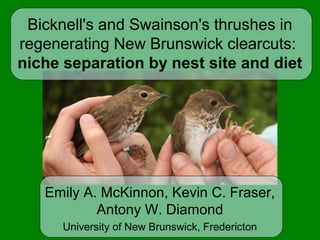 1
Bicknell's and Swainson's thrushes in
regenerating New Brunswick clearcuts:
niche separation by nest site and diet
Emily A. McKinnon, Kevin C. Fraser,
Antony W. Diamond
University of New Brunswick, Fredericton
 