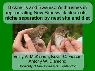 Bicknell's and Swainson's thrushes in regenerating New Brunswick clearcuts:  niche separation by nest site and diet Emily A. McKinnon, Kevin C. Fraser, Antony W. Diamond University of New Brunswick, Fredericton 