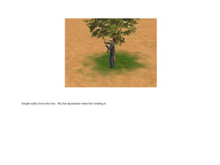 Joseph really loves this tree.  His fun skyrockets when he's tending it.   