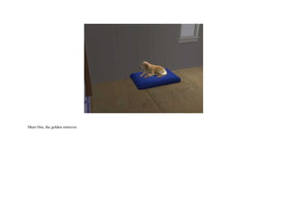 Meet Otis, the golden retreiver.  