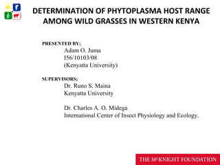 DETERMINATION OF PHYTOPLASMA HOST RANGE
  AMONG WILD GRASSES IN WESTERN KENYA

  PRESENTED BY;
         Adam O. Juma
         I56/10103/08
         (Kenyatta University)

  SUPERVISORS;
         Dr. Runo S. Maina
         Kenyatta University

         Dr. Charles A. O. Midega
         International Center of Insect Physiology and Ecology.
 