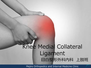 Mejiro Orthopedics and Internal Medicine Clinic
Knee Medial Collateral
Ligament
目白整形外科内科 上肢班
 