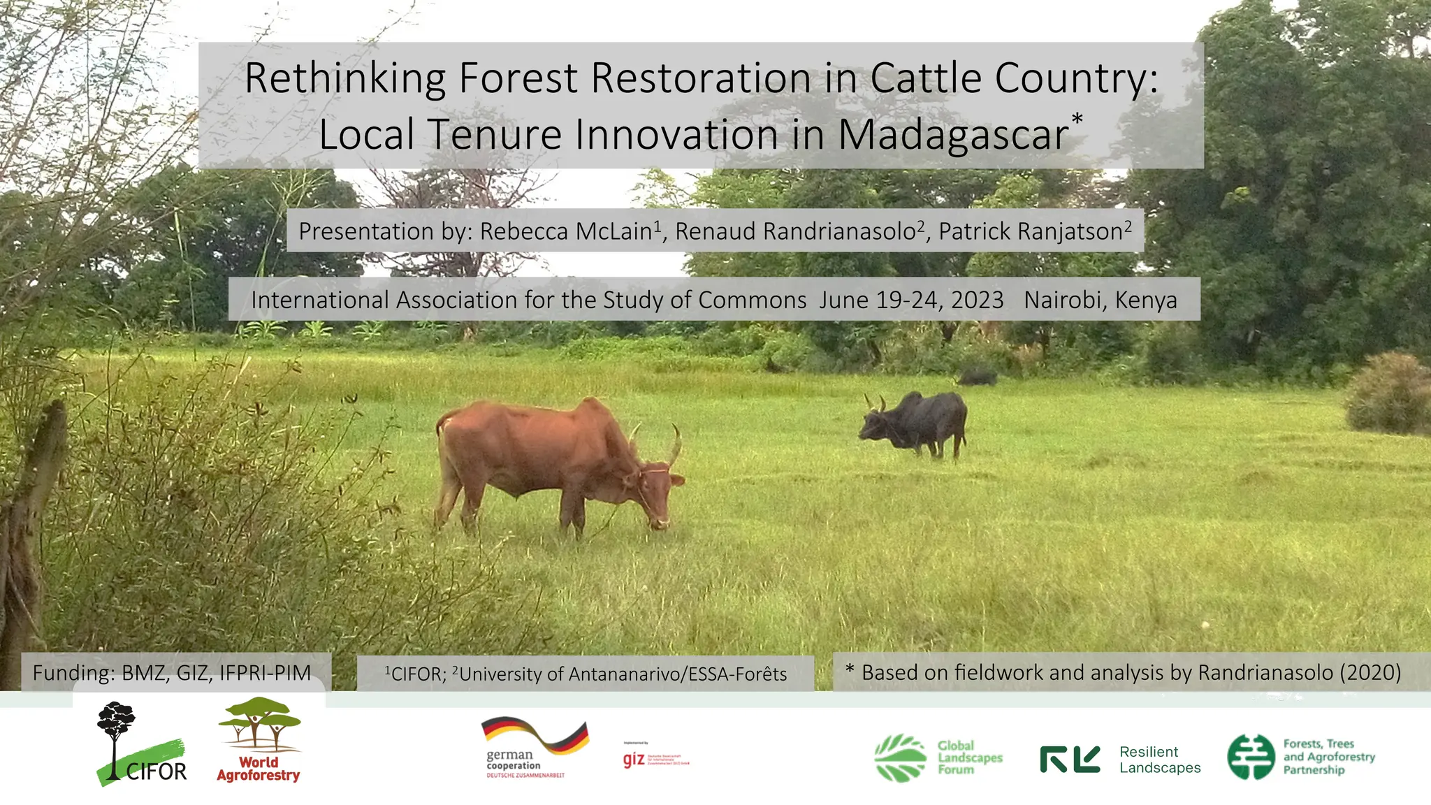 thumbnail of  Rethinking Forest Restoration in Cattle Country: Local Tenure Innovation in Madagascar