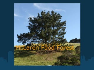 McLaren Food Forest   Designing an Edge  