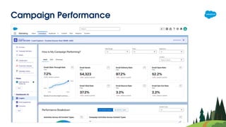 Campaign Performance
 