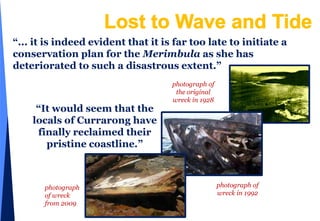 independent tours and reviews