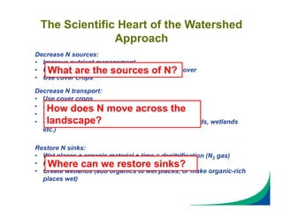 Decrease N sources:
• Improve nutrient management
• Use extended rotations and/or conservation cover
• Use cover crops
Decrease N transport:
• Use cover crops
• Use erosion control practices
• Use conservation tillage (soil water storage)
• Use water storage structures in the landscape (ponds, wetlands
etc.)
Restore N sinks:
• Wet places + organic material + time = denitrification (N2 gas)
• Restore wetlands
• Create wetlands (add organics to wet places, or make organic-rich
places wet)
The Scientific Heart of the Watershed
Approach
What are the sources of N?
How does N move across the
landscape?
Where can we restore sinks?
 