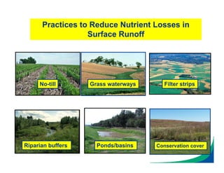 Practices to Reduce Nutrient Losses in
Surface Runoff
No-till Grass waterways Filter strips
Riparian buffers Ponds/basins Conservation cover
 