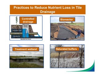 Controlled
drainage
Bioreactor
Treatment wetland Saturated buffers
Practices to Reduce Nutrient Loss in Tile
Drainage
 