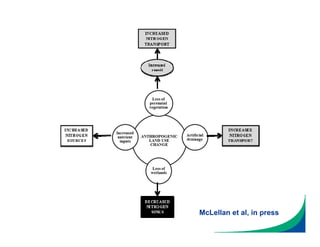 McLellan et al, in press
 