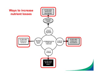 Ways to increase
nutrient losses
 