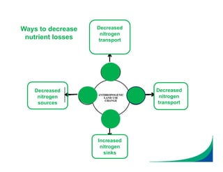Decreased
nitrogen
transport
Decreased
nitrogen
transport
Decreased
nitrogen
sources
Increased
nitrogen
sinks
Ways to decrease
nutrient losses
 
