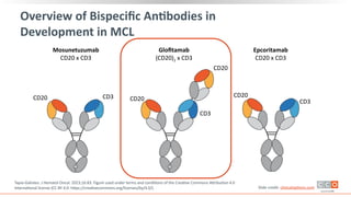 MCL Management, Prognosis and treatment. Various therapies available in ...