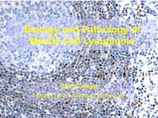 Biology and Pathology of
 Mantle Cell Lymphoma



             Elias Campo
  Hospital Clinic, University of Barcelona
 