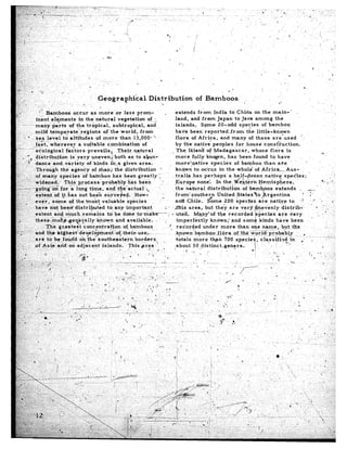 .Giogra@xicaL                         Distribution                       of Bamboos                           ,                        ,,,                   -.          .’
_c
“y::I              I
                ,“- Bamboos                  occur         as more             or less prom-                      u        extends         from      Indiato         China     on the main-“’                 .
               i~~nt &ments                      in the natural                 vegetation          of-;                   land,     and from           Japan      to Java among              the
                many~$arts             -of-the         tropical,            subtropical,            and                    islands.,         Some       20-odd        spe5ie.s      of bamboo
    : ,.
Z”.            mild       tempera            te‘regioits            of the .worldi            from                         halve been’ reported                .fr om the little-known
.,o -; ‘:‘. seq.level               to altitudes               of more           than 13,bOO- ”                            flora     of Africa,           and many          of these         are’used            -I
 :‘ ~, :
 ,.
!. p..i’      ‘fd%t;‘.wherever
             .--_ ,.                             a’stitable            c,ombination             of                         by .the native‘peoples                   for house         consfruction.
“:“,..- ‘V’~‘-iXblogical              f&ors~pre.vailsq                          Their ..- natural                        . The Islana           of Madagascar,                whose       flora        is
                                                                                                                                                                                                                                 Y
 _,; -, .- ‘. ‘di&tri$pkio?              is yery            uneven,1          both as. to abun-                            more       fully     knqvn,        has been.found              to have
                 id&e-andYvariety                      ,of kinds          in-a given          area.                        morejnative              species       of bamboo           than are                        Y
                 Through          thiz agen.cy              of m.ap)-the            distribution            ”              kno.wn to .oc’cur             in the whold’         of Africa          ._.. Aus;’            ,,
                                                s -of ,bamboo               has been greatly’;                             tralia      has perhaps             a hylf-gozen            nativ$        spec”ies;                              :
                                                                ;-probably            has been                 I          Europe          none+.       In the Wes$&n              yemispher’e,                                   c ; .~  -.
                               g ‘$6; zm&g-               time;       ind’.&i$actudl               !,     ‘                the ‘natural         distribution            of ‘bamboos            extends          , A...,. ”
                extent       of it has not -be,& su&&ed.                                   How-                            from’s.outhern               United       Statesto       Argentina                     ’      :-           y.
                                                                                                              .’
                ev& ,.) some            of the mosf,               valuable           species                              and Chile.           _. ome -200 ‘species
                                                                                                                                                s”                                &e      natiy-e         to. -4             5 ‘q        -+
                have, not-betitid,istributed,to                              ‘bny important                        :. 1 $&is area;             but the),are            vq-S‘$hevenly               distrib-‘,           .* .- :.L1,.’
                &ter&,       and, much remains                         to     be done ~to%ak~                         i 3 ute&         Mapybof          the recor.ded”g&cie-s                   are ireiy                     ‘. -’ ! i
                the~e;;no~~,~erip$‘ally’kiiown                                 and available.            1 .:               imperfkctly            known;        and some .kinds               have        been            ’      1
                   ~‘b’$i;(e. &.etiteJt
                ,-: ‘. ;;‘-_                        cc&e&zap-on                    of, bdmboo&..                      -‘. recorded _          under       more       than one name,                b-ut the                        .:.
                                                              ”
                and. the -highest--de~eiopment-o&their-use,.                                                                k.nown .bqmboo-!_&a                   o~~thiCG%~~~$<b~b~y                               i              .’ ;-
                are. to, beifo&d:                 o’nthe”’ so&he-astern,                   borders>                        totals      more        than 700 specie?,               c’la.ssifiz<WOin           -~ +’ ‘.
                                          ‘I
                ofA-sip.-a&d;on                 adjd’q’e~nt islands;                   This $?.ea-               .          about’ SU,dktinct..genera..                        t;          ;            .
 