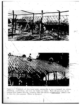 *.                                                                                *L

1:.-Figure
    sheathing,
               4. - - Fr-Rework

    cove-red with
                     scaffolding;
                                      of this

                        bamboo mattin’g,
                                                hous&!nder
                                        and even the,‘la$$er
                                               probably
                                                                 construct&n
                                                                   are bqboo.
                                                                              in Java is hardwo’dd; but raf+.ers,
                                                                                ,halls &d partitions
                                                           ma&e; from species of Gigantochloa,
                                                                          /
                                                                                                       may be
                                                                                                   commonly used
    in Java for- this          purpose.    (.Photos by Dorsktt.)
I                                                       :.
 