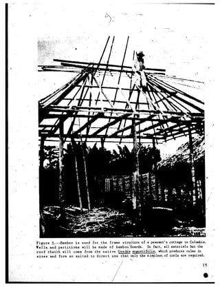 ,




      -.




. ’




               Figure      .S.-- Bamboo is used for the- frame strud/ture          of a peasant's cottage in Colanbia.
               Walls,,'and      partitioris     will  be made of bamboo'hoards.          In fact, all materials      but the
               roof     the<&      will     come from the native     &a i' a angu stifolia,       which, produces culms in>
               sizes      and form So suit&d         to direct   use -47 t only the simplest
                                                                        tK                            of tools are required.
                                                                            '$.,
                                                                   3 -/
                                                                     /              _          ,'                       ,I5


                                                                 /’      1,                                                    :
 