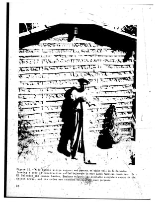 ‘(
I(   d     ‘f&b             ..;+
     II                     p:
                  ‘,* !                                    ‘-       T.,,
     f.,              ,,    b
                                               ,,
             1.                     ‘I   .,                     _
                                                                                                      i
                                                                               -‘-Tim                 .I             ‘ ‘.)
                                                                           e        ;*                                       ’
                                                                                                                                  Y
                                                                                9;‘-;:                                                , ‘:
                                                strips   support  and $ktect             an-adobe wall in El Salvador?,                      .‘L
                                      construction       called  bajaie&e-in             many Latin American countries.                            In   b
                                    common bamboo,       Bambusa
 