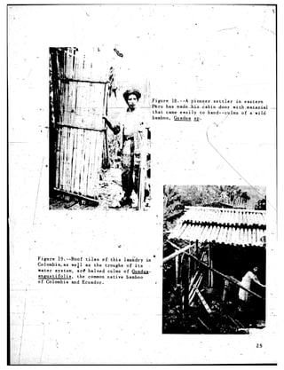 i
                                                                                   1




                            




                                                                             *                                                I
                                                                                          .




                                                                                              I




                                                                 -Figure   18.--A    pioneer    settler     in eastern
                                                                 pq?ru has made&-&bin-&or                 uritk-mRtprlal--
                                                                  that   came easily      to hand--culms        of a‘wild
                                                                  bamboo, Guadua SJ.                    /

                                                                                                      / 3
                                                                                                  i




                                                                                                                             ’ I


                                                                  #3
Figure        i9 .--Roof     ,tiies    of this    laul(;dry in
            .
Colombla,.as         weil-as        the troughs     of its
water      system,       arC halved       culms   of Guadua-
ahgtistifolia,           the common native          bamboo
of Colombia          and Ecuador,                                  I




   0                                                                   _.

  .,   .         .



                                                      >    .
 