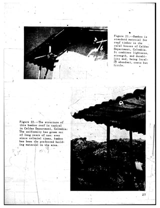 8
                                                                       Figure      21 .--Bamboo         is
                                                                       standard       material        for
                                                                       roof ,-? timber     in the          ,
                                                                       rural      houses of Caldas‘
                                                                       Department,         Colombia.
                                                                       It combines         lightness,
                                                                       strength,        and hurabi-
                                                                      l#ity     and, being        local-
                                                                      ly abundant,          costs      but
                                                                      little.                     I*




                                                                 .;




                 Figure    22 .--The     structure       of’
                  th.is bamboo roof is typical
                  in Caldas     Department,        Colombi .a:
,,               The uniformity       has grown out
                 of long years of use: ever
                 since   colonial      times,      bamboo
                 has been the preferred             build-
                 ing material       in the area.
                :i
        ii.        :
         iJ ,c?
            :.y ‘a               I
 ii.i
                        .    -   i
     .:                          I

                       I i
 