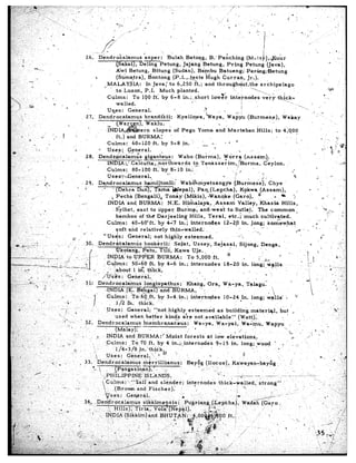 r                              /
:        :                                             -."                                                         //'                                                                   I
.',, .-I ._                                     .P               .,
< '.                                                                                                      ._', i    I
 ,'                                                                                                                                                     ",     .
                                                                                                   26.     Dendrotalamus             ‘asper:’       Bultih         Betoqg,           B.‘Pa&hing                 (h.bix        b )&uur
:s’-        1                                                                                                       [Sakai),     DelingPetung,                   Jijdng       Betung,            Prjng          Petung            *(Jav&),
                          -3-;,                                                                                     A’wi Betung,          ,Bitung         (Sudlin),                       ,,~atuen~FPerirrg!~etung
3:    ,.    ‘1                                                                                           ,          (Sumatra),          Bont.ong          (P.I.,                     ugh Curran,                 Jr.).
         -7                                                                                                    MALAYSIA:               In java;.to                               and througwut.the                           archipelago
:-.‘_                                                                                                 .’      i <
  ‘_                                                                                                                to Luzon,         P.I.       Much planted.                                 ,     ‘. _ I        ‘---l.             ,-             :
%, (8                                      ‘.          r.                                                      Culms:        To 100 fti by 6-8 in;;%short                             lowzr        internodes                 ;k‘ryth&k-
1,.                                                                                                                                                                   *-                                                                        ‘.
                                                        a             I             i             .                 walled..                                                                                                                            ‘,
 ‘, 8’ 73                                                                 cs                                                                                                    *                            i
 _.a                                                                                                           Uges : Gene.r,al.                                                ‘j         .-
                                                                                                    27. Dendrocalamus                 brand&ii:              Kyellowa,            Waya,          Wa&u            (Burme.s*e),               Wakay
                                                                                                                                T, Waklu.                                                  ”
                                                                                                                                $ern        slopes         of Pegu         Yoma. and’Martaban                             Hills;         to 4‘;400
      --.
                                                                                   i                                ft.) and BURMA:                    ‘                                                                                                   .
 .,                                                                                                            C&-IS~        60-120        ft. by 5-8 in. .:                  ‘-      *s        . K ’                                                   ,
     ,r’, ..              -                        _                                                                                                                                    1                                     ”
‘t#                           ‘/..,            :                                   i.                      -- Uses:.       Gmeral.                                                                         ”          .
;-,) ‘-                                                                                            28.     Dendr,ocalam&-             giganteus          : Wabo           (Burma),             Wdrra           (Assdm).               .
        .-
 ,.                            r                                      ,            :.
   ?/                                                                                                          INDIA:,’      Calcutta,,nor.thwards                     tz- Tenhsse;im,                     ./Burma,             Ceylon.
 -.
                                                                                                               Culms:        80-100         ft.‘by     8-lo-in                    ’              ’       ,‘.<                                      *
  .I                                                                                >-                                                                                  I                             ‘f                       !I
                                                                                                               Usesz-==.General.,                   ‘*                                        --                                                     +
                                                                                                           Dendr    ocalamus          hemiitoniii              Wab&myetsdngye                        ~(~Burme;e$;‘Chye
                                                                                                                                  iii~(lk&pi+)                          ) Pao_(Lepcha).                     Kpkwa            (Assam),
                                   .
.‘- .                                                                                                             b Pecha      (Bengali),          To&y!          (Mikis),          -Wan,oke         (Garo).               ’            e =         ‘f’
.,                    ,
                                                                                             --                      INDIA     ‘and- BURMA:       ‘N.E.     Hix%alajrk.,       ~,As.saxri    Valley,        ‘&as&          Hills                       .’
            :
 .‘I.’
 ..                                        *                                           j.                               Sylhet,     east to upper       Burma!;        ‘an&west       to Sutlej.’          The common                                  u
 .1                                2
 :.,                                                                                                                     bamboo’      of the Darjeeling’         Hills,     Terai,      etc.<-much            aultivqted.
‘.
; ,.                                       ..                                 ..                                     Culms:       40-60’ft.   by 4-‘7 in:-; internodes               12-2p         in, Icing;     sor;l’ew,hat
                     ,,                .’ .w
                                                                                                                         goft and relatively         thin-walled;                             :          - - .
                                                                                                                                                                                                          ._ 1                                         l*
                                                                                                                                                                                                . .-..
                                                                                                                                                                                              _..
                                                                                                                                 General;   not highly        esteemed.




                                                                                                                                                                    in.;        internodes         -18-20        in.     Iong~;‘%plls.                      ’
                                                                                                                                                                                                                                     _’
                                                                                                                                                                                I   0                             .    .        .a ’




      ‘-e       ‘.            .’                                                                        Uses:        General;        ‘$ot    highly     esteemed        -as buildin’g,      materigl,        but II
                                       :                                $. .
                                                                      :L.c                                  used when better               kinds    a’re not .availableI’           (Watt):.
                                                                      .m-.--                 ’ 32. Dendrocalamus                ‘memb,ra,na&us.:
<.‘                                                                                                                                                         Wa-yti,     Wayyai,        WaLi+u,       Wapyu          ., ‘.
,..$. .:”                                                                                              ,.                                               ,-.
!. ”                                                                                                                                                                                                            -’
                                                                                                            (Malay):               -                                                 0/ .                          ;.-
 q-_.                                                        .                                      ti  INDIA       and BURMA:”            Moist     forests        dt low ele’vations,.                              -‘
?.--..                             .;
I>-;:. _;
    ..                              -, ,.                             .e ‘C,’ 1.                       ,Culms:        -To -70 ft. by 4 in .;,,,internodos               9-15    in. long; ,wood %. ” :                   ,,,
;,,:’, . ‘.                                        .                                              : .        l/4-3/8.in.‘thiik.                                       ’                      ‘.            .




                                                                                                                                                                      :; internodds,thick-walled.                            strono”’          ’
 