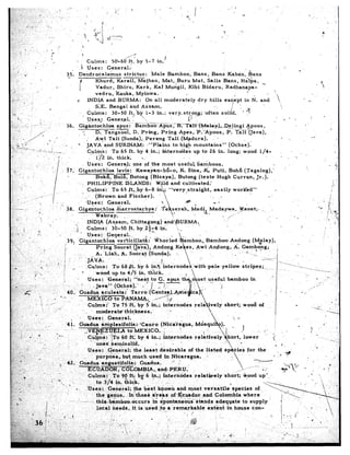 /              ,!                .:        ..
     i _         ;.        ,   I                      P
                                   ‘.                                           J.              -_
 “.,‘.                                                                                                        l-f
  _.                                              _
          ,’                   .                       .                -      Culms:        50ii-60’/rt,by          5-7 in./
  .( I,        1.
                                                                     r ‘.A Uses:          General;:                                                                                                                                              .’           .
 ...>‘.j _                                                       3-5,. Dendrocalarrms               strictus:          Male   Bamboo,       Bans,      Bans     Kabrin:      Bans
 .h.‘     _
 ,z i.                                                                             Khurd,       Karail,         Mathan,      M.at,Buru     Mat,     Salis    Bans,      H&a,      ..
  .’                                                                      f
                                                              _                    Vadur,       Bhiru,         Kark,     KaI Mungil,      Kibi    Bidaru,      Radhanapa-
 3:..*,!                                                                  i                                                                                                                                                          I
  _,,                                                                              vedru,      ‘kauka,         Myinwa..                 I                                       I     _
 1if .?^                                                                                                                                                                                                                                  ‘i                      I.
     ._‘1   ;i                                                          ,& INDIA          and BURMA:                 On all moderately         dry hills       exyept     in N. and
    .. .     P                                                                     SE.     Bengal         and Ass-am.                          .’         =I                                                                                   ‘>
 ;;.:,., --                                                                                                                                                        J l, ,+!T        k
  i                                                                         _, Culms:        30-50       ft;;by-     1-3 in.; veryOstrong;         ‘often    solid.         I
      7.. .                        _         .,                                Uses*:     Gener&             _     L ..                   p                                                                                              .       Ff                          I
 :,,.: x .’                        I                                                                                                                                                                                                                                   .!
 flS. 2. y;-                                 _                    36.          Gig&tochloa      apus:                Bamb~~~~~Tg;~~~~,D~~gi                                                              Apoos,
                                                                                -3.     D. Tang%,                   D. Pring,   Pring    Apes,,            ‘P. Xpoos,                  P.         T&iii(Java),



                                                                                                                                                      up to 26 in.                      long;            .wood          l/4-
                                                                                                                                                 .                                                                                                       .I

                                                                                                                                                                                                                                     ._
                                                                                                                                                                                                                                                                        ‘*




                                                                                                                                                       ,         Q.                -              ~*’
                                                                                         Wabray.                                                                               I            /-
          ..:z                     8.
                                    I                  ,-‘.                                                                                                                             ’                                        .
L-’
      j                                      -.                          .,-         INDIA    (A&Sam.,          Chittagong)          and’@URMA.

                                                                                  5; ‘, yeneral.
                                                                                  ochloa     v.er”ticilla&::   Whorled                   3,       amboo,     *        Bamboo                 Andong              (M&lay
                                                                      x, 1 -
                                                                                 Pring.Soorat,(Java)Y         Andong                          Ke 7 es, Awi*Andong.                              A.      Gam$ng;
                                                                                A. ‘Liali,       A. Soor af (Sundw).                          -    , .
                                                                   ,.   .
                                                                   -       : JAVA.                       ,
                                                                                                                                                                                       ellow             stripes;..,,

                                                                                                                                                                                       bamboo                 in




                                                                                                                                                                                       ;hort;            wood          of        _

                                                                                                                                                                                                 ‘., 0
                                                                  41.          Guadua    &plexifolia::-Cauro                       (Nicarigua;             M6squif).
                                                                                  v--mm--me-e          . . -. --*e-i-                                                          -
                                                                                                                                                                                                                                                                                    m


                                                                                   ;,es :
                                                                                         -------i---
                                                                                           cf -----
                                                                                               en&al;
                                                                                                         60   -$

                                                                                                          ‘the least
                                                                                                                      by 4 in.;.

                                                                                                                          desirable
                                                                                                                                    internodes.rel6tively~hbrt,

                                                                                                                                       of the listed,
                                                                                                                                                                                                         lower                       i

                                                                                                                                                                                                                                                                             ..‘”

                                                                              .I     purpose,.       but,much     used in Nicaragua.             -
                                                                                                                                                                                                                   -                             -    ‘1 .*
                                                                        :; .Guadua      annustifolia:-        Guadua.             * j
                                                                                                                     .,.an+PERIJ.’                  .
                                                                                                rd 90 fti bg 6;ip.;~        internodes    relat&ely                                ‘short;               &,ood         up”
                                                                                                 in.&&.’                      __’                                                                                           ‘<
                                                                                                     &eral;        the best *O&I         and most    versatile’species            of
                                                                                                                    those $r eps of -&uador*        -and G olombia          where
                                                                                                                    ccurs   .& $ponta.neouS~     stands      +de,q$ate     to supply
                                                                                                     needs,     ,it, is used-to,    a’remarkable        extent-in      house    Con-
                                                                                                                                 .-
 