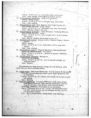 ‘. .                          ,.I             ’
                                                                      Culrrs:            To ‘50 ft.: by J in.;. inte.rnodes,l&g,                           th.in-walled..
                                     .-..           -. ., .y.;-,          Uses’       Lath,     mattbg,          iithes          u      tying     fr’bmes       & huts.
 ,‘,            -._                                      .50.“ Schitostach&m                    .hhinanense:                Thng Chuk           (Chiirese).-
             w-.x .                         ,
                                                                          CHINA:          Hainan        IslAnd.            c        .,.<          a               .:
 --.-

 .,’                I                                                     Culmd’!        To l-00 ft. by cih.;.                internodes<?          14ng, thin-walled.
ii,,,                       -                            .                                                                                 8
,...$”                                                           .. ’ _ Us,es:       Lath’;     ma.@ng.
 I’“<.,                 .                                 5 1. Schiaostachyum                    lima’:-      Bolo...Baxacay.(teste                    Hunh Curran:,Tr’a).
  >.
-xi-.                           I.              -- ----Y                  PHIJZIPP~INE          mNDS;,--lXZ&,                         -ca,a,:
I,
                                                                          Culr ns: .25-30           ft. by 1 in.; internodes                     very     long, thin-wallid.                                                                   !    I            *”
                   c“
 ;3.-,;                                               ‘. A,-             Uses:       Mattidg,          shingles,         thin lath.           ., _.’
 . -+,,                                            0
,;.:‘, .”                                                52.       Schizostachyum               lumampao:                Lakap         (Bosayan),          Tamblang         (Biia-an).
N,,,,:                               ,.                                                                                                                                                                                                                               .I
                                                                        ,,PHILJPP~NE             ISLANDS:              Luzon.                        .
  : 1
 .,
        :”
                            3                                            C.ulms:.        To 60 ft.-by          3 in.; very            straight;        40 ft. to first        branch;
   ‘-      ;.                                                                 ihin-walled.                              . ,.- .$                            *                        .ZL
    : -: .__                                  -.
                                     ,                                   Uses:-      Bo~rds,*shixi7gles,              {teste       Hugh Curran,$Jr.),.
 :-, :;                                                 ._
                                                                   ‘Tcinostachyuin             dullooa:          Dulpoq          (Assam),          .P+ksalu,       Pogslo,       Wadroo,
        7     -.                                                                                5%                        D
                                                  -, :-.                , . Gyawa;                                                                                         F1 _
 .: r     :                                                              INDIA:        ‘Assam.
 :’ _’ _’
                                                                        Culms:         ,20-!0      ft.,by,l-3          in.; mte+nodeS
                                                                                                                                ’                    to 4d in. long;         thin-,                                 ,
  _,                                                                       L

                                                                                .
                                                                                    I.ath~
                                                                                    -----,
                                                                                                        mnttino
                                                                                                        ‘--“‘-.-.~,,
                                                                                                                                                                                    _      L



                                                                                                                                                                                                                                              1.           / e
                                                                           Ptachys       olivers:     : Thqnawa          (Bprincse);         Maitong                                      ~Kach$.)..           ‘.   .                                             :
                                                                    INDIA       and UPPEF L BURMA?                  ,To,‘2,000       ft. :                                                       ri’                    .             :*
                                                                           is:’   36-80       ft. by i,-2i’;n.;        ” greatly        in request’!                                      (Gamble).                 1
                                                                    -_ .;
r,:: : ‘.                                                           uses:,      General.          “_. /                                                                                                                    ”
 :, ‘., .’
      ,
                            *’ ..*           .~._      55.      Thyrsoitachyi            siameniis:           Kvatinn-wa.

                                                                             nsi              25-4d                    ft.     bay l’k-3   in .; v&y’strong.and               straight;              .un-      -                . I        i      ‘1,
                                                                                                                                                                                                                                           _’ I”1                          I



                                                              The follotiini,                    two                   x&xIy’grasses,         though         not, trui        <amboos,               yield
                                                              IS that aie                    uscd.,in                   buiidinn’     hauses.                     L

                                                                                                     Giant, R+d.:(Hitchcock),                               qara’de       Coheta               (El    Saltado@”                               ’ ,.I   ‘,
                                                                                                                                                                                                                                      i       !--i ‘,
                                                                                                   r$ +tcndihg        into milder                           pa~r’ts ,pf’$he      temperate                   zone
 