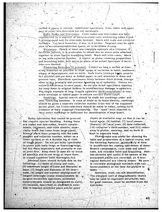 f
                                                                                                                                                                       I
                                                                                                                                              -.      *           *.       t:
                                                                                                                                                                       c
    ,: ,’ ._                                   -_        ca.rXed         if space           is limited..               Additional              specimens,                 from         lower         an                                                               j,
 .‘ .,                                                                                                                                                                                                                                          __--.’                   :l
                                                   ’     -=r+ nf *~~~~,>;e,desirable                                   but not necessary.
                                                                                                                                                                                                                                          ’
                                                                                    c&s and Internodes.                           Culm. nodes, and internodes                                     are                                                   *       :
                                              ,               .:,.                  by a.segment                     of mature-sized                    culm        .embracing                   nodes        4
                              ,.
                                                                                          and, the.internode                      between.               Mark          with       node and colle , tor
                                                                                 Cuf back.branches,                          if any, to ‘b inches:                        Se’gment              may be
                                                                                commodategli’mited                         space,          or to fadi.lita.te,drying.
                                                                 Rhizomes.                 Obtai            at lea.st         one compl$te                 e$xnple               &a         ‘rhizome;
                                                  ’ facilities                 permit,         it i preferable                      to obtain           two d.r more                  units         attached
                                                                                                     t
                                                         together’to               show t$-pical                 branching            habit.          Wash and trim                       roots.            Mark
                                        .. -,            or -tag withcollector                        &umber.                 A sketch            or. photo,            showing              proportions
                                          -. .._
                                                      ‘-and branching’                  habit,       c ill wve                 ,in place          of an actual                 Specimen               if facil-
                            ,             -          . ities         are, ‘limited.                                                         -*               ;       .                                                               !,
                                    L.      .                     Flowering             Brhn                               Psent):            Collect          as long a seAes                        of ,flow-,                      !,-
                                                                                                                                                                                                                                       i
                                                         ering        branches             as possi’ble’to                  show‘range                of variation                in habit,             leafiness,           
                              I
                                                         stages          of dqvelopment,                    hnd so faith.                  ‘Seek fruits               (matufe              frets         usually                     :’
         _Yr
                                 I                       fall q;ickly)               and put s’ome in folded                            paper         to call         attention               to them          and              ; _
                                                                                                                                                                                                                                                         ’ ,               i
>,,.,- -            ‘                                    prevent           10.s.s.~ Distribute                    specimens              ‘thinly       .between             thick        drier@;           ichange             .“;-’                                     J_
                                                                                                                                                                                                                                                                  , _.,
                                                                                                                                                                                                                                                                      ;i

                                                         often to.$rry.             prompt19             ahd prevent                 b+eaking            up of spikelets.                         Unless         ab-                                               ..
                                                                       ?:;.A .y =,
                                                         solutely-F              cessary          tosav‘e             paper,         do not pile ‘dried                     specimens                 tog-ethe-i        “’                     I j
D
                                                         but keep them                  in original                fold&s          to.avoid%erious                       damage              to spikelets.               ,         .‘p        ’
,.,’ : -                               ,.
I:, (’                                      F            Pug single.             example          .of Iopg,            fragile        -s&kelets             (qrthrostylidium)                           in’ s.ep:                  il 
,I        ‘(,                                                                                                                                                                                                        ._                            ‘.
                       5.                     _ -, garate             envelope’or               fqlded’p~per-topn~.~~~coir~ct                                          floret:count.                                               . ._
      L.‘
,::;;,, _’
  __                                            . --..            Seedling$.              Special            search          sh,ould         be ma&             for”seedlings                     under        and               _          ..                ’              “’
                                                                       I
                                                         near       flowe@g               bamboos.                  In case pf doubt*as.t,b                        their:identity,                     seedlings‘                                     I,’ . ’       “’
                 .-         ._.. =- :..              -4
                                                       should           be given            a separate                collector           number            from          that of the supposed                             ”       ,
                                                         parent         plant,        but gross-reference-should-be                                       mhdi’in              nbtes,,setting                 ;fdrth
       ‘:                 i         ‘.
:r..
 .‘I          :i      a-                          ‘..:evide,nce              of their         suppos&l                gelationsh&‘.                 The “seed”cstiI1                           attpched.fo
                 4’.               -.                                                                                                                                                                                                                                _,
                  1 _
                  ,~.           ;;.              i.     >ery        ‘small         see&ings            ,is.     &fficie.nt           for identifi,&tidn                      if,kept’-intact,                 : ‘.                              qp* ’
                                                            .-~,,<:...         _^.     ii                     -’                                                                                                                                 .” -.
                                                      ,I
                                                    &dec&ns                   that ca&&              be. pressed                                shown’qn
                                                                                                                                                   -..              availab1.k               map,         so that it &an be -.:.‘_--
                                                                                                                                                                                                                                                             -.___ . ..-.
                                                                    ial handling.                Among              these             2        found       again,            (6),hatdtat-,              (7)’ local$names.                     ‘7:



                                                                                     ;bm       .Iarnk’nlarits.                           ”     . ence-t&hotos.                          sketches.               &id.      so forth            if          ”        .’

                                                                                                                                                            Photobraphs                    a?&      us’eful         fo~      showing               the          .” ---... .



                                                                                                                                                                            i&nt.qor          making+x’ecii+iens                           of them:
 
