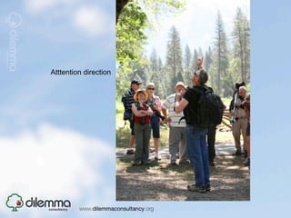 Atttention direction
 