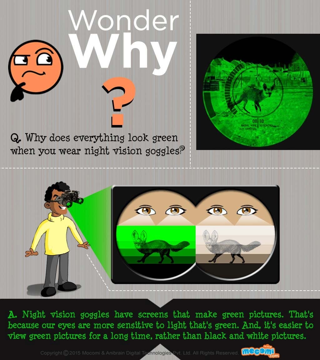 How do Night Vision Goggles work? Kids