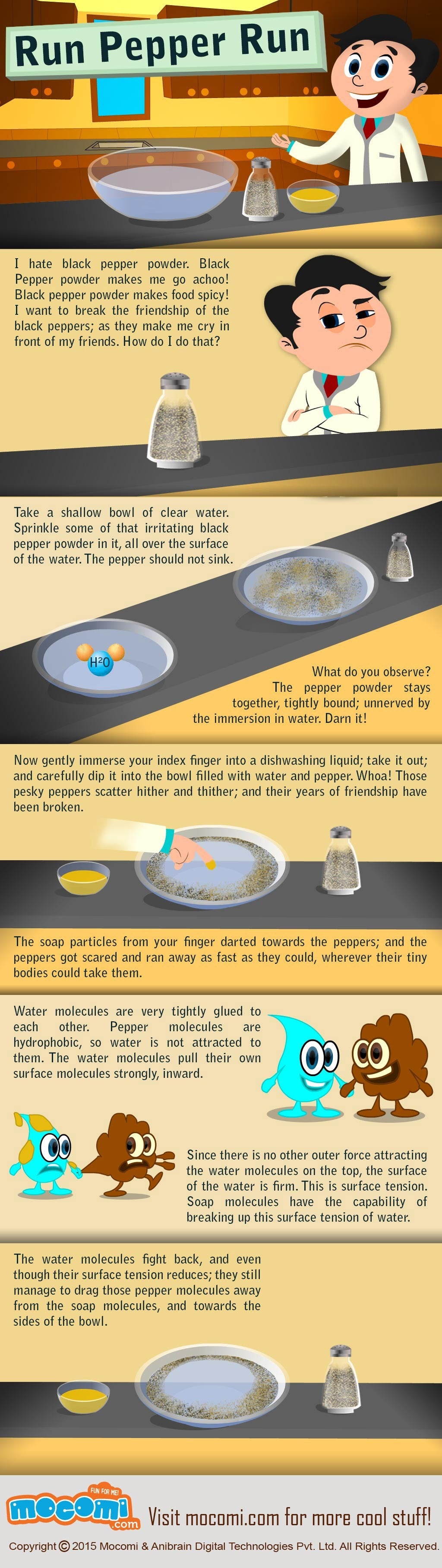 Black Pepper and Dish Soap Science Experiment for Kids