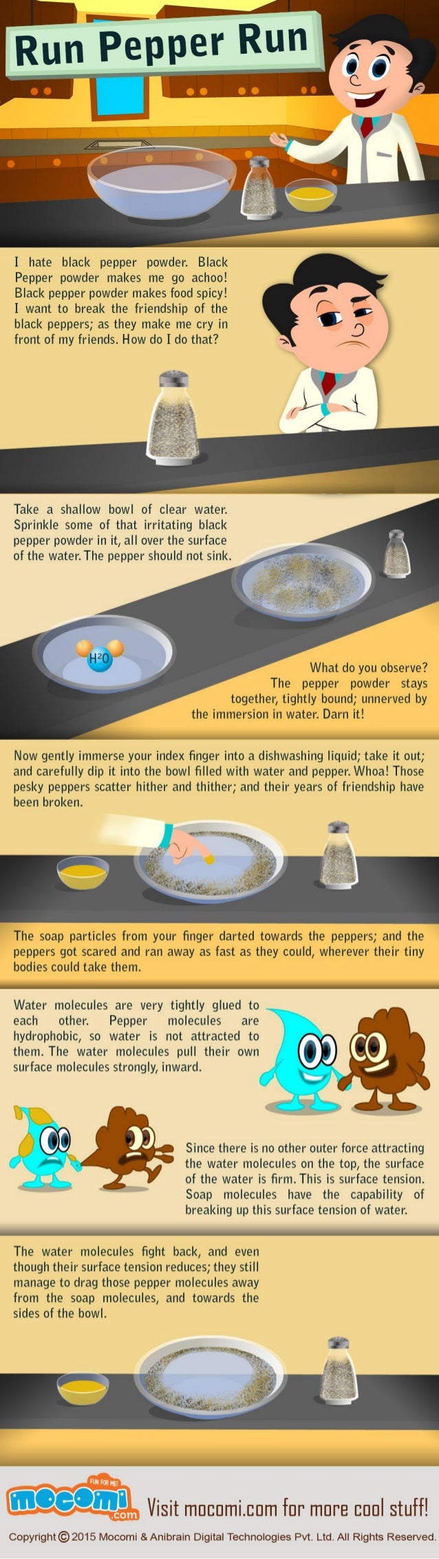 Soap Science Experiment