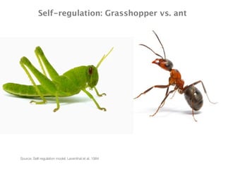 Self-regulation: Grasshopper vs. ant

Source: Self-regulation model, Leventhal et al. 1984

 
