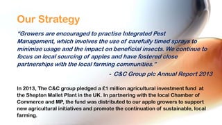 Our Strategy
“Growers are encouraged to practise Integrated Pest
Management, which involves the use of carefully timed sprays to
minimise usage and the impact on beneficial insects. We continue to
focus on local sourcing of apples and have fostered close
partnerships with the local farming communities.”
- C&C Group plc Annual Report 2013
In 2013, The C&C group pledged a £1 million agricultural investment fund at
the Shepton Mallet Plant in the UK. In partnering with the local Chamber of
Commerce and MP, the fund was distributed to our apple growers to support
new agricultural initiatives and promote the continuation of sustainable, local
farming.

 