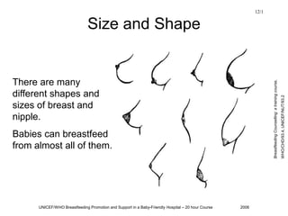 UNICEF/WHO Breastfeeding Promotion and Support in a Baby-Friendly Hospital – 20 hour Course 2006
Size and Shape
There are many
different shapes and
sizes of breast and
nipple.
Babies can breastfeed
from almost all of them.
12/1
Breastfeeding
Counselling:
a
training
course,
WHO/CHD/93.4,
UNICEF/NUT/93.2
 