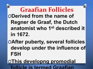 Graafian Follicles
ODerived from the name of
Regner de Graaf, the Dutch
anatomist who 1st described it
in 1672.
OAfter puberty, several follicles
develop under the influence of
FSH
OThis developng promodial
 