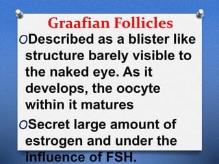 Graafian Follicles
ODescribed as a blister like
structure barely visible to
the naked eye. As it
develops, the oocyte
within it matures
OSecret large amount of
estrogen and under the
influence of FSH.
 