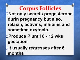 Corpus Follicles
ONot only secrets progesterone
durin pregnancy but also,
relaxin, activins, inhibins and
sometime oxytocin.
OProduce P until 8 - 12 wks
gestation
OIt usually regresses after 6
months
 