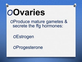 OOvaries
OProduce mature gametes &
secrete the ffg hormones:
OEstrogen
OProgesterone
 